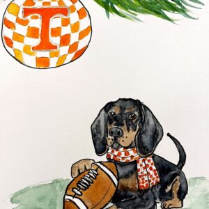 Vols Smokey Holiday Card