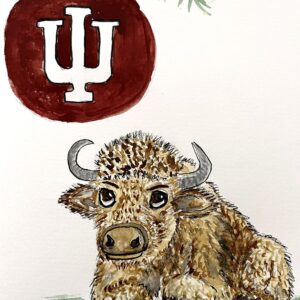 IU Bison Holiday Card