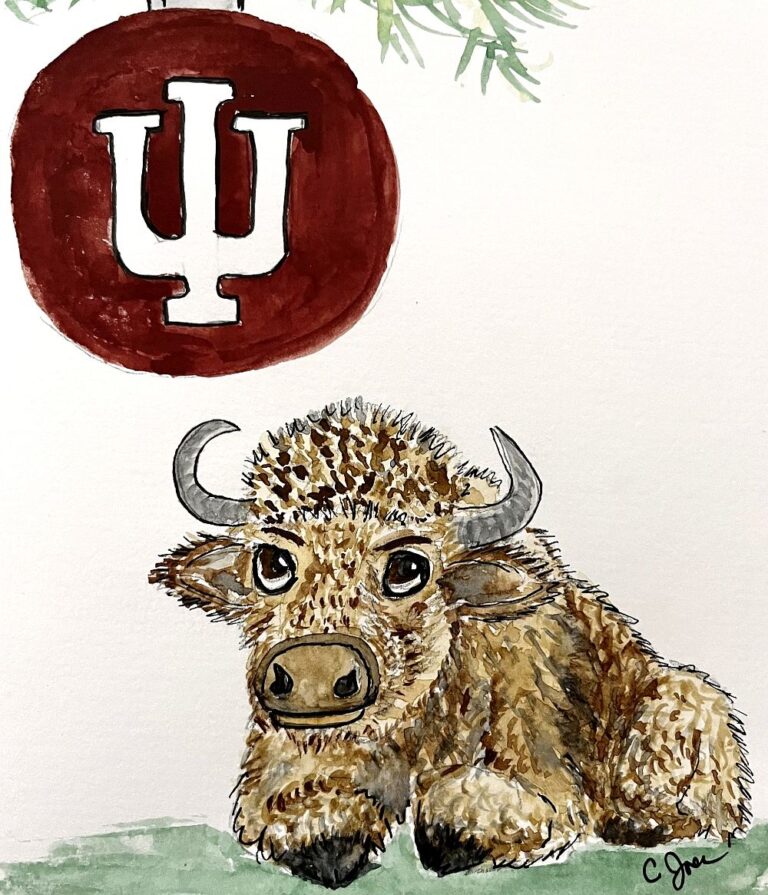 IU Bison Holiday Card