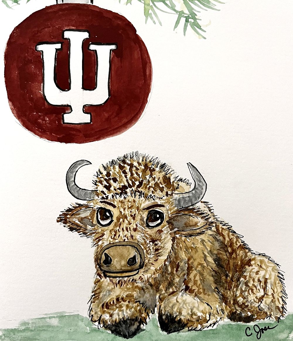 IU Bison Holiday Card
