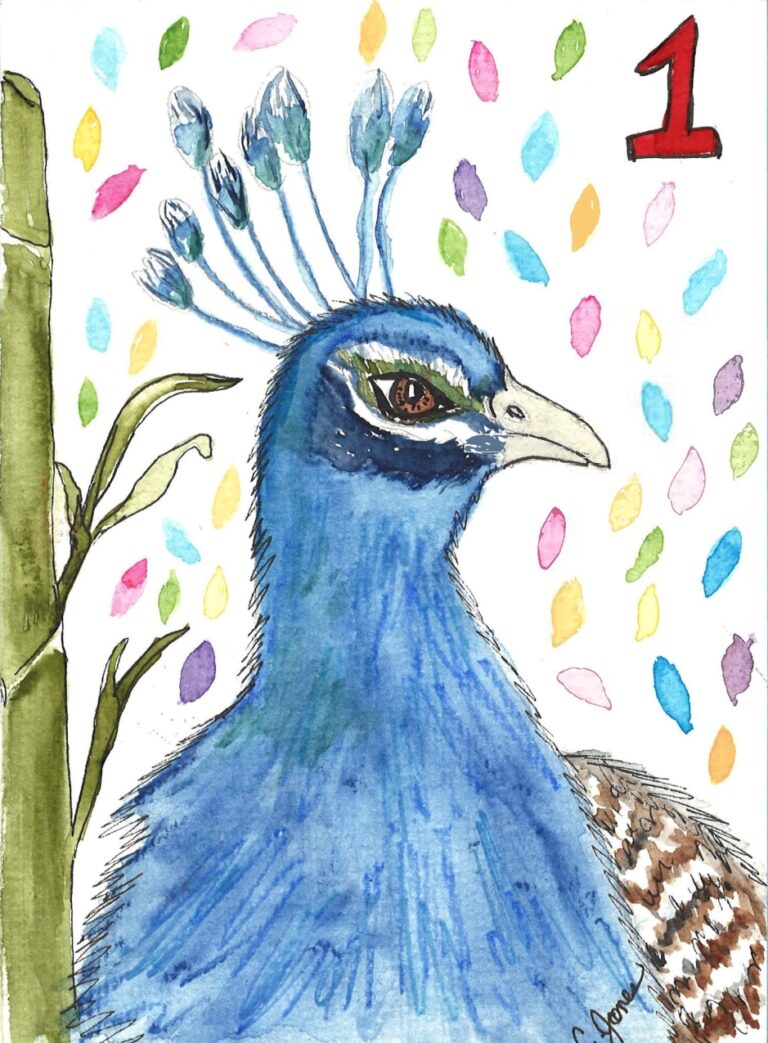 Peacock bird bam Tile Card